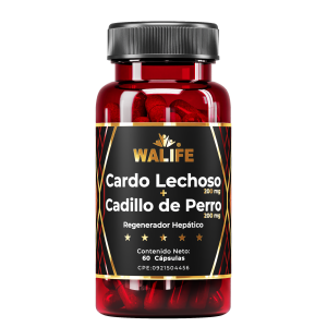 Cardo Lechozo + Cadillo de Perro