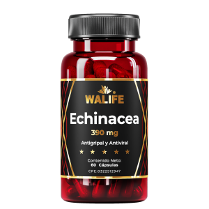 Echinacea